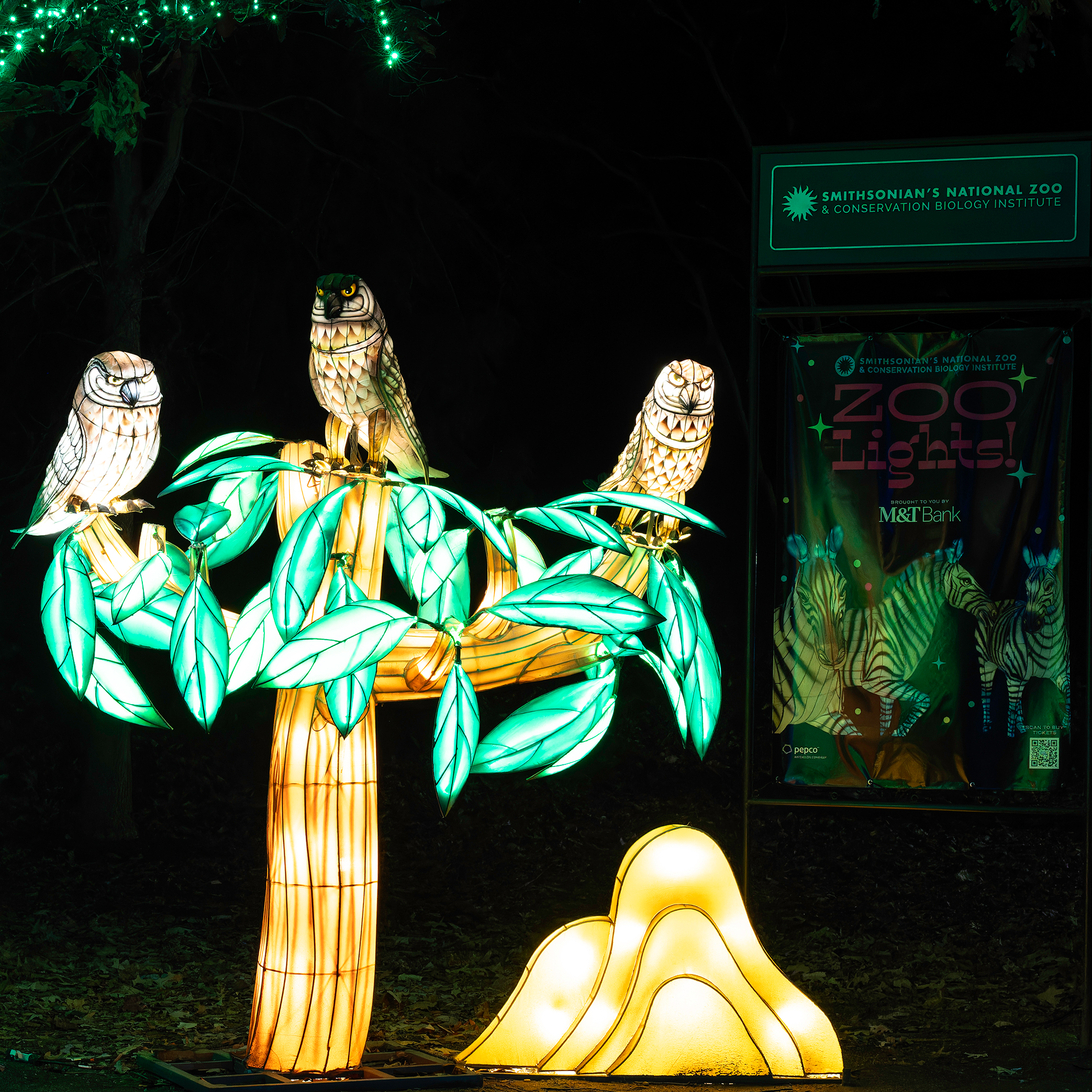 Zoo Lights